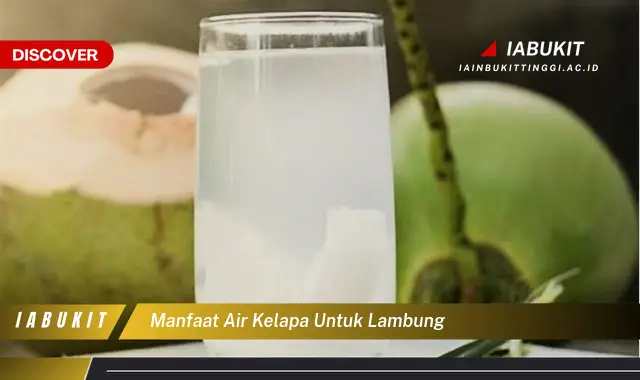 manfaat air kelapa untuk lambung