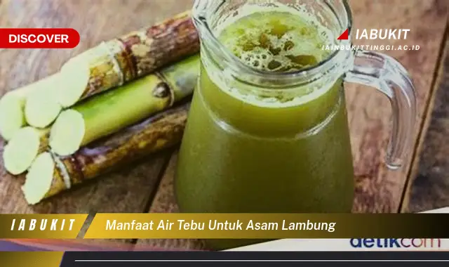 manfaat air tebu untuk asam lambung