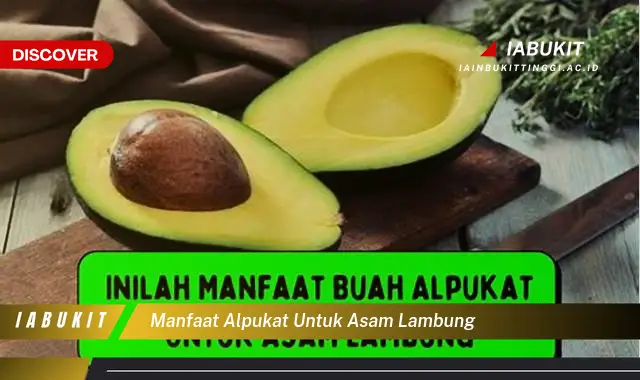 manfaat alpukat untuk asam lambung