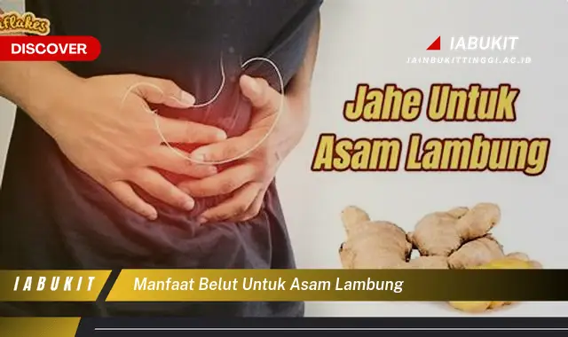 Temukan 20 Manfaat Belut untuk Asam Lambung yang Wajib Kamu Intip - E-Jurnal