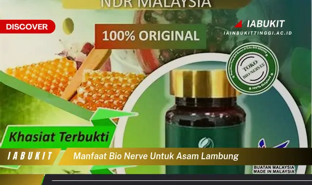 manfaat bio nerve untuk asam lambung