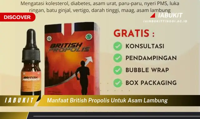 manfaat british propolis untuk asam lambung