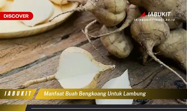 manfaat buah bengkoang untuk lambung