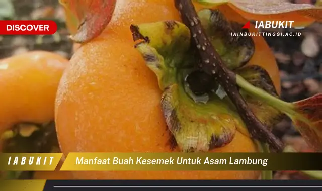 manfaat buah kesemek untuk asam lambung