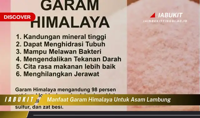 manfaat garam himalaya untuk asam lambung