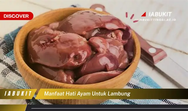 manfaat hati ayam untuk lambung manfaat hati ayam untuk lambung