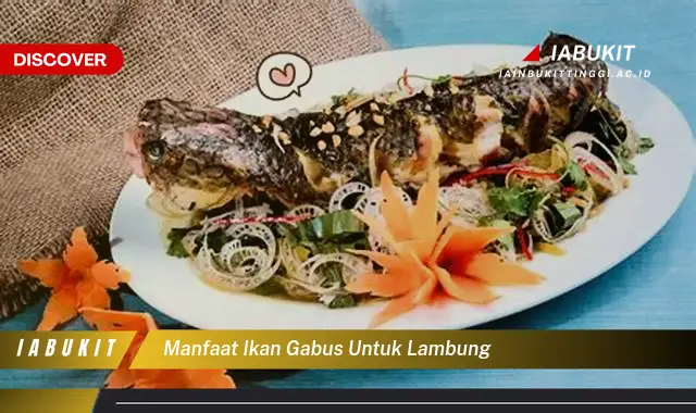 manfaat ikan gabus untuk lambung