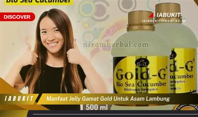 manfaat jelly gamat gold untuk asam lambung