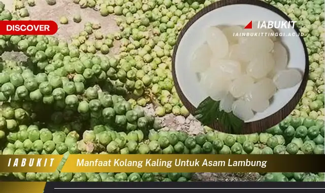 manfaat kolang kaling untuk asam lambung