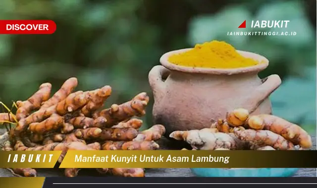 manfaat kunyit untuk asam lambung