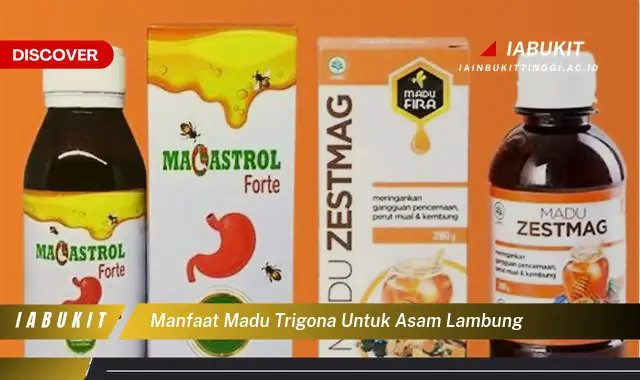 manfaat madu trigona untuk asam lambung