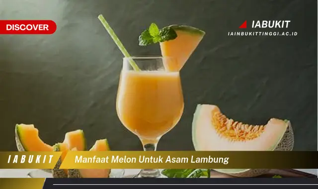 manfaat melon untuk asam lambung