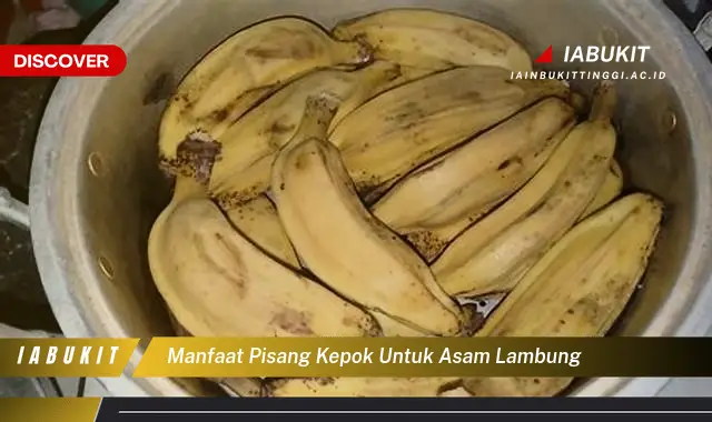 manfaat pisang kepok untuk asam lambung