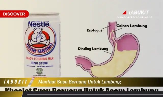 manfaat susu beruang untuk lambung