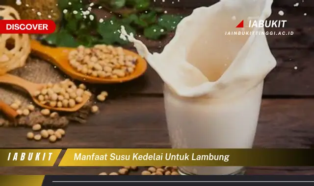 manfaat susu kedelai untuk lambung