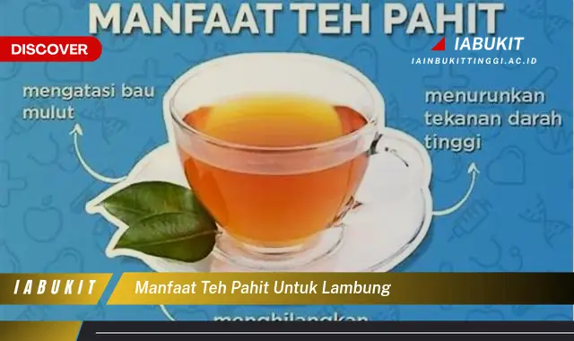 manfaat teh pahit untuk lambung