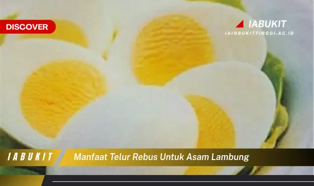 manfaat telur rebus untuk asam lambung