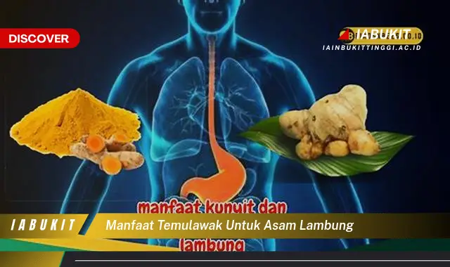 Manfaat Temulawak untuk Asam Lambung yang Wajib Diintip - E-Jurnal