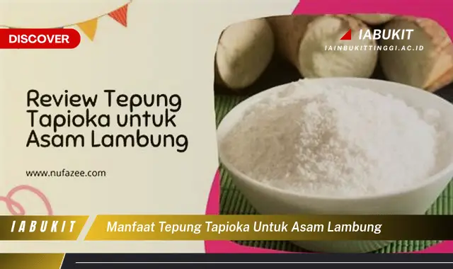 manfaat tepung tapioka untuk asam lambung