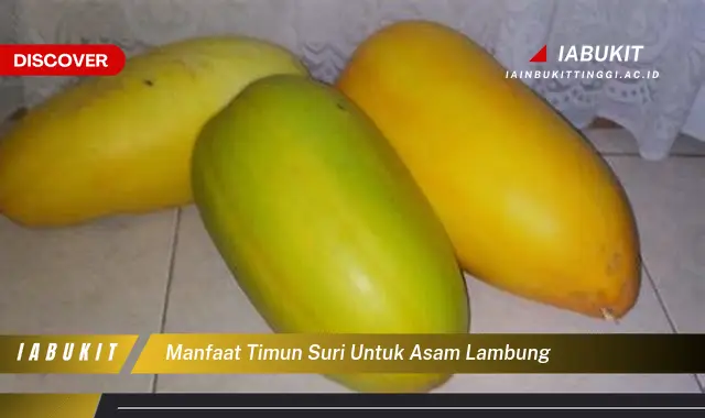 manfaat timun suri untuk asam lambung