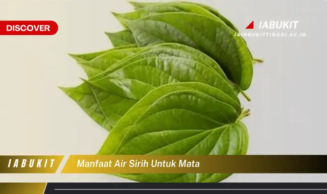 manfaat air sirih untuk mata