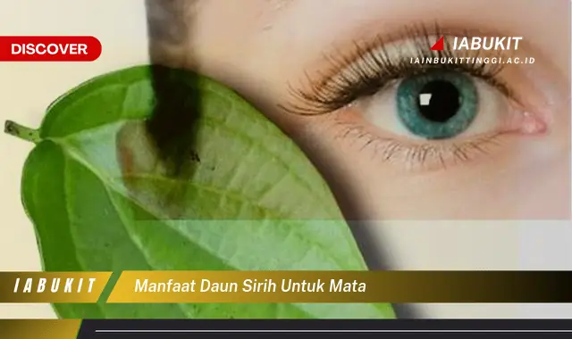 manfaat daun sirih untuk mata