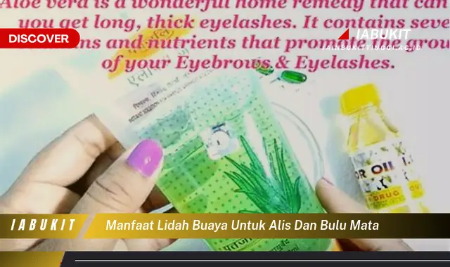 manfaat lidah buaya untuk alis dan bulu mata