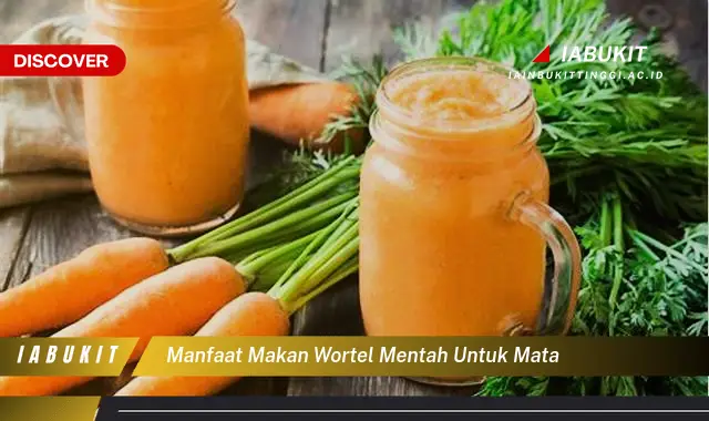 manfaat makan wortel mentah untuk mata manfaat makan wortel mentah untuk mata