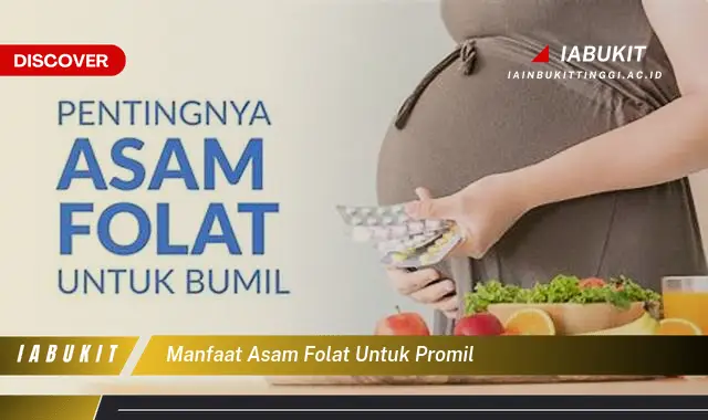 Banyak yang Belum Tahu, Inilah 20 Manfaat Asam Folat untuk Promil yang Wajib Diketahui - E-Jurnal