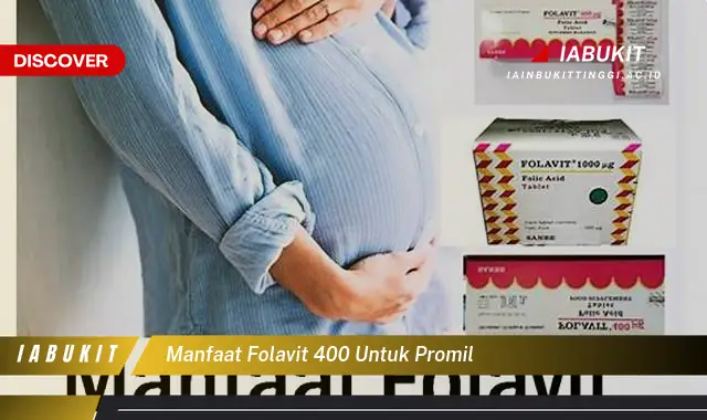 manfaat folavit 400 untuk promil