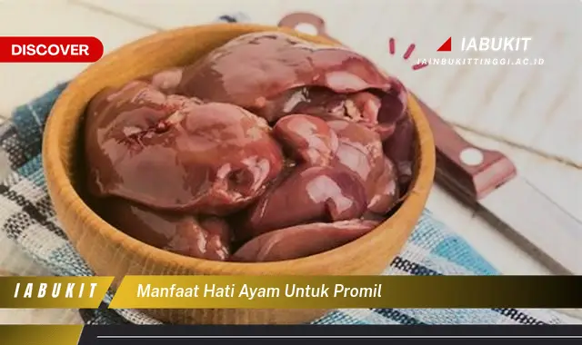 manfaat hati ayam untuk promil