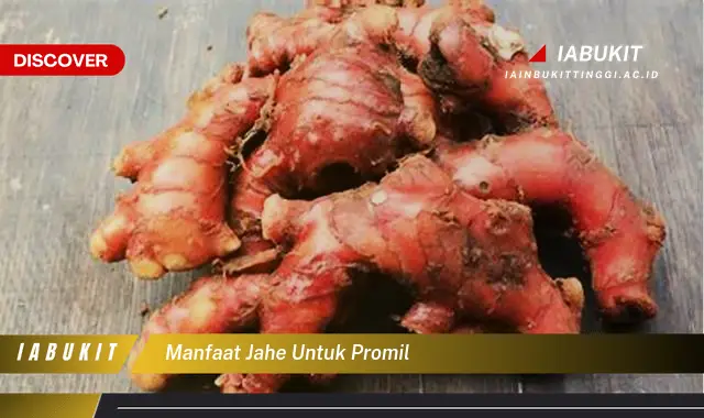 manfaat jahe untuk promil