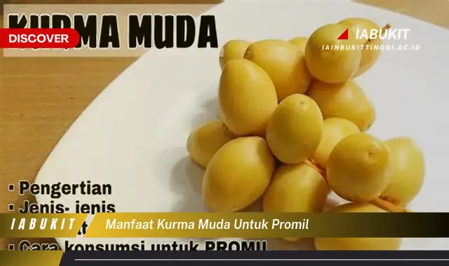 manfaat kurma muda untuk promil