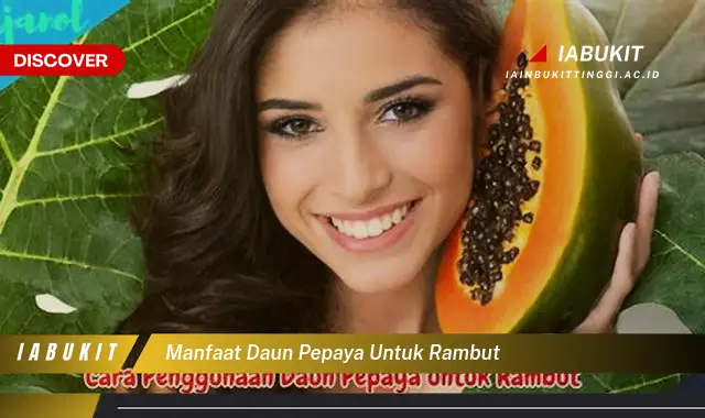 manfaat daun pepaya untuk rambut