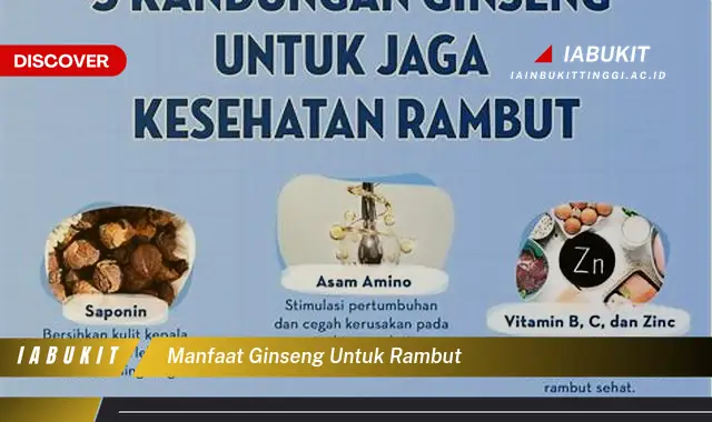 manfaat ginseng untuk rambut