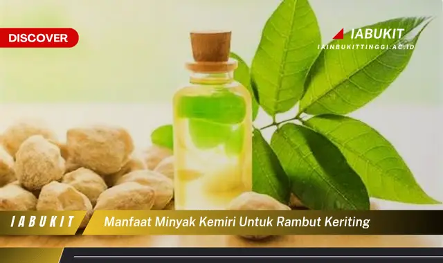 manfaat minyak kemiri untuk rambut keriting