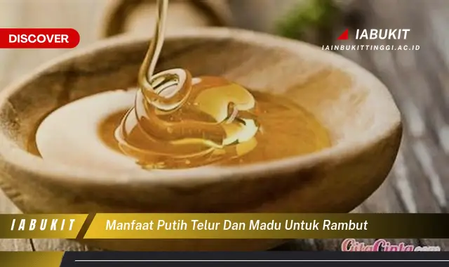 manfaat putih telur dan madu untuk rambut