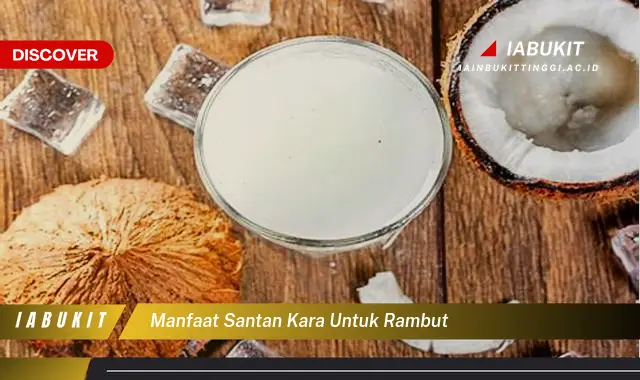 manfaat santan kara untuk rambut