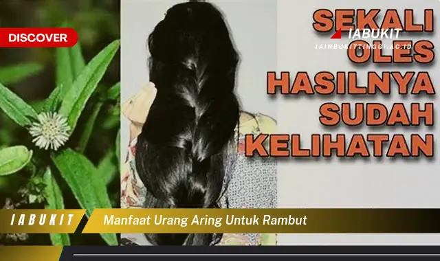 manfaat urang aring untuk rambut