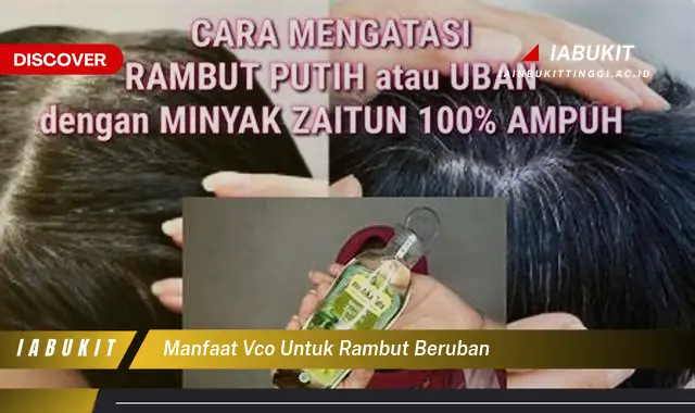 Banyak yang Belum Tahu, Inilah 20 Manfaat VCO untuk Rambut Beruban yang Bikin Penasaran - E-Jurnal