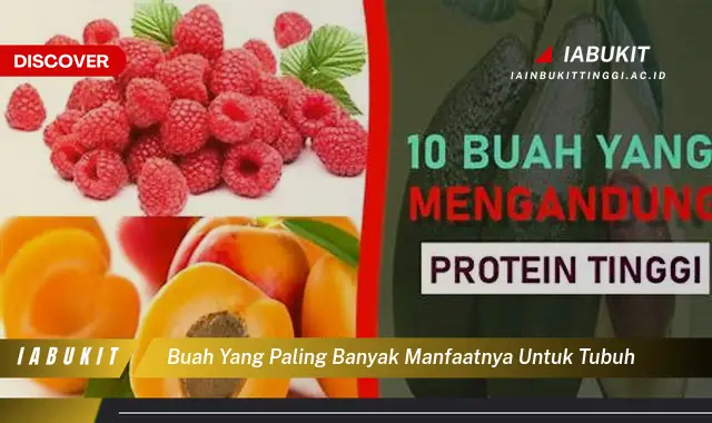 buah yang paling banyak manfaatnya untuk tubuh