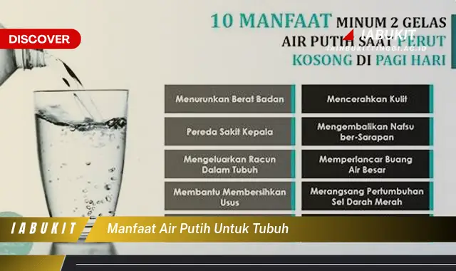 manfaat air putih untuk tubuh