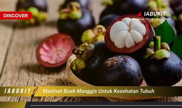 manfaat buah manggis untuk kesehatan tubuh