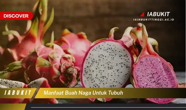 manfaat buah naga untuk tubuh