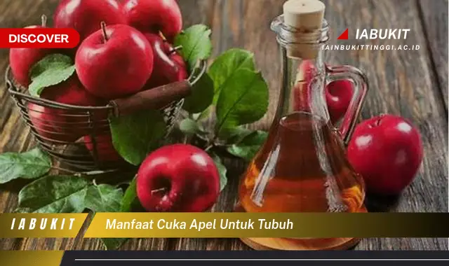 manfaat cuka apel untuk tubuh