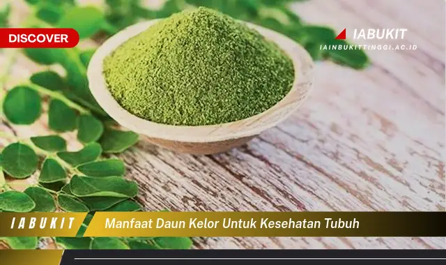 manfaat daun kelor untuk kesehatan tubuh