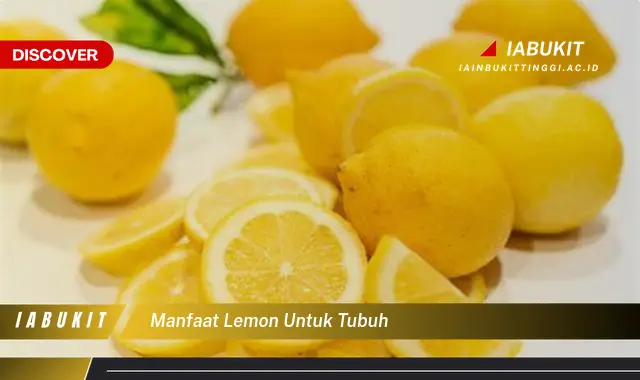 manfaat lemon untuk tubuh