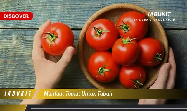 manfaat tomat untuk tubuh