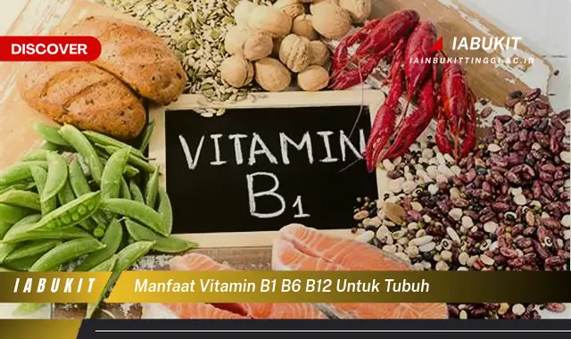 manfaat vitamin b1 b6 b12 untuk tubuh