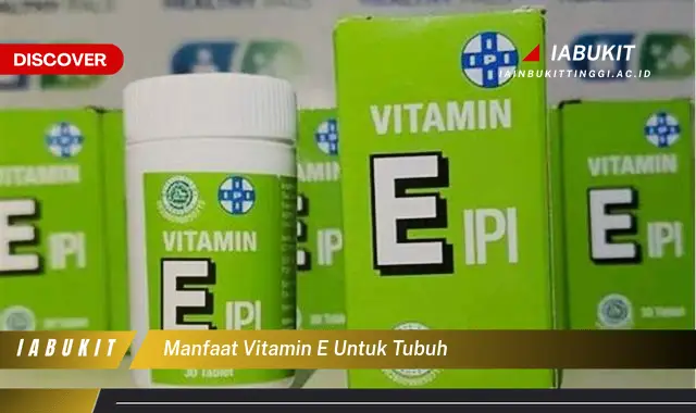 manfaat vitamin e untuk tubuh